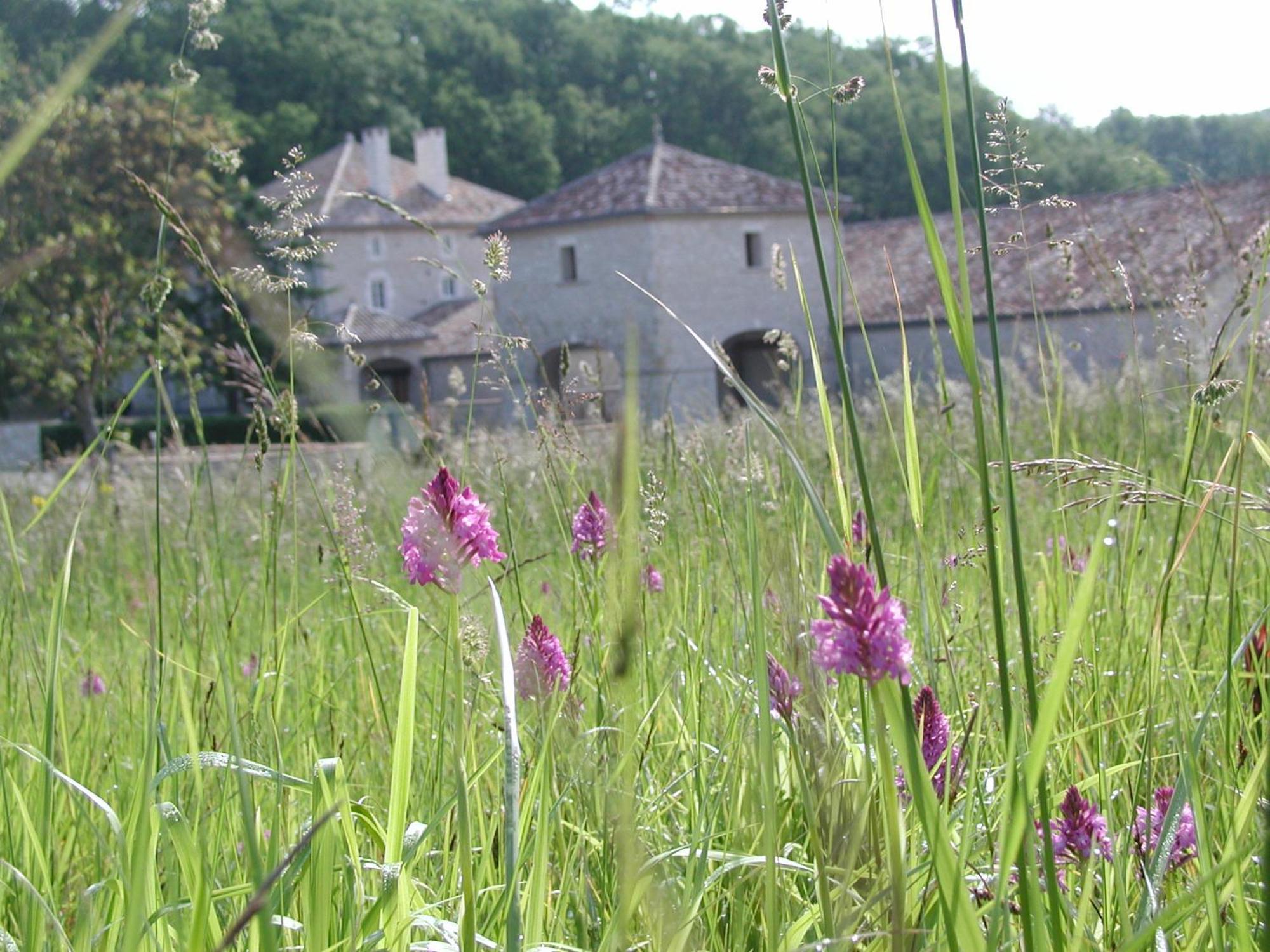 Chateau Lecusse - La Grande Roche - Hotel, Spa, Boutique & Restaurant Broze Esterno foto