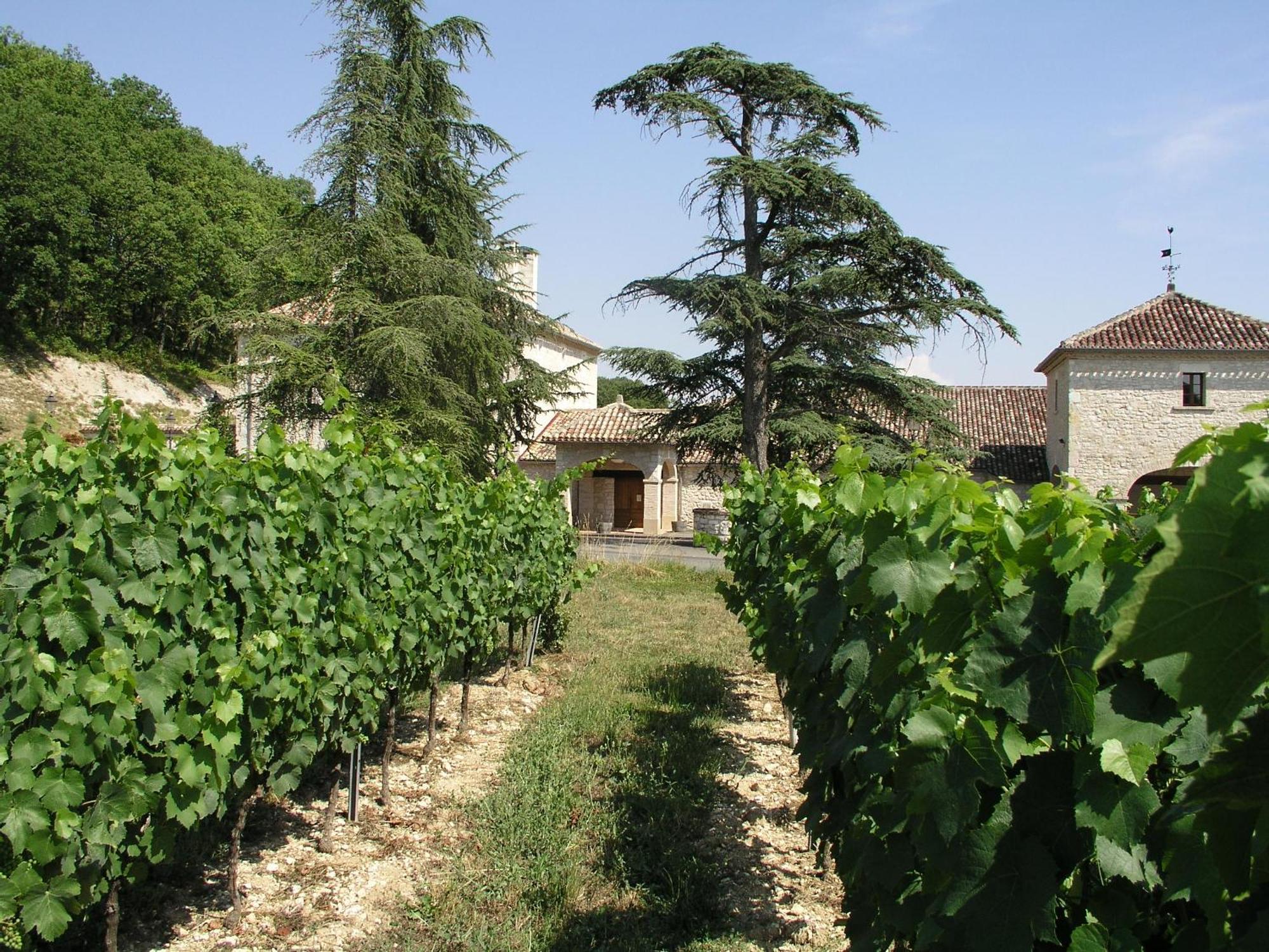 Chateau Lecusse - La Grande Roche - Hotel, Spa, Boutique & Restaurant Broze Esterno foto